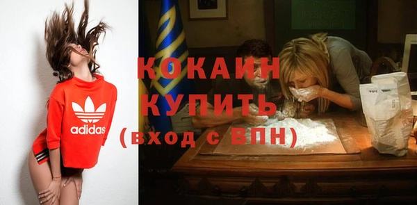 спайс Гусев