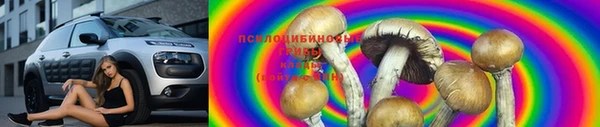 каннабис Дмитровск