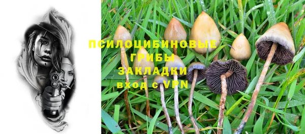 ГАЛЛЮЦИНОГЕННЫЕ ГРИБЫ Приозерск