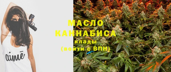 гашик Покровск