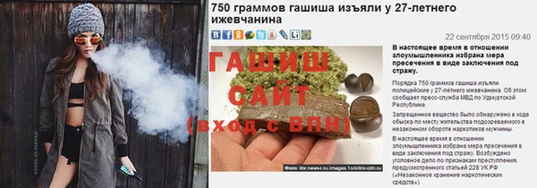 эйфоретик Гусь-Хрустальный